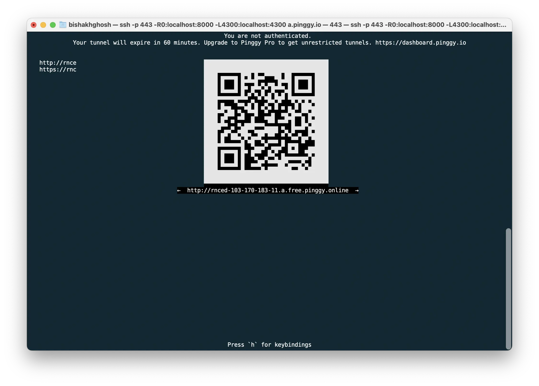 Press u to display QR-Code in unicode